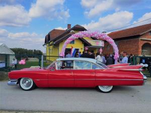 cadillac 1959 antropoti limousine oldtimer cars wedding cars in croatia (5)